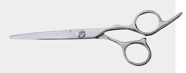 a pair of scissors